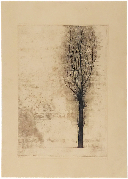 萬字屋書店：福井良之助 孔版・銅版画「樹木」