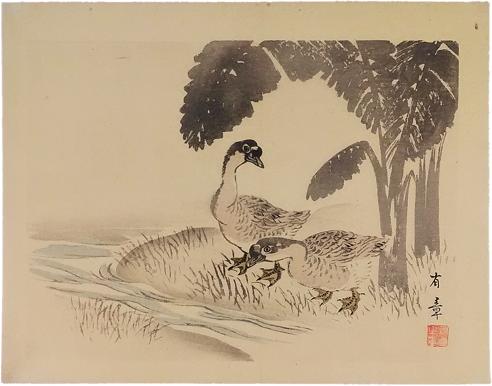 中島有章　木版画「水辺の鴨」（仮）